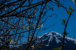 Εκδρομή Ορεινή Κορινθία, βουνό και φύση @ Ζάχολη