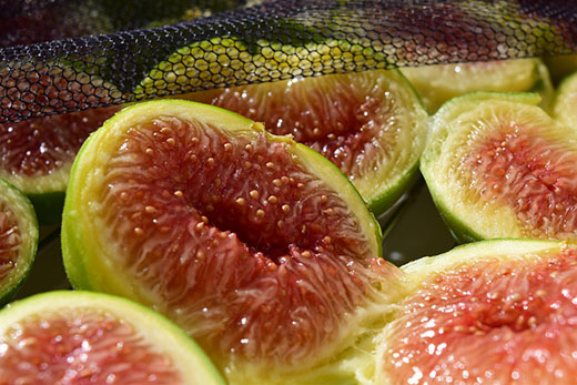 Δύο φρούτα με υψηλή θρεπτική αξία
Πόσες θερμίδες έχουν και μέχρι πόσα μπορούμε να καταναλώσουμε;